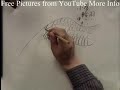 Flower Bird Chinese painting (Part 4/3000) 國畫小鳥 with Prof Jin's Works