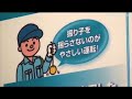 Safety Recorder SR Series : DigInfo