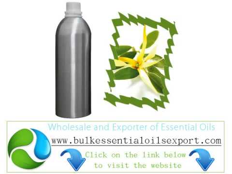 how to grow ylang ylang
