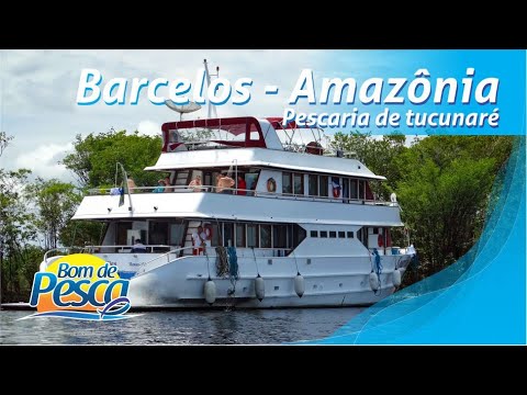 Tucunaré Açu em Barcelos, na Amazônia.