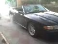 Mustang de JOnsu