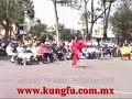Wu Shu estilo Mono por Francisco Gonzales