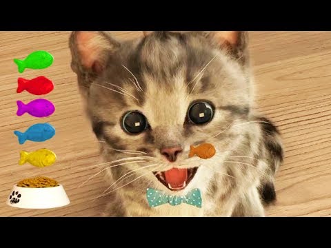 Lindo Gatito | Dibujos Animados Infantiles (Capítulo 3)