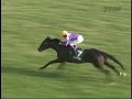 京都11R 芝・右・外 1800m。 1着：リーチザクラウン⇒2着：リクエストソング⇒3着：エンブリオ 父スペシャルウィークに続き、きさらぎ賞親子制覇！！