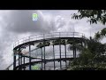 Parque Nacional del Cafe - Broca