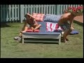 BBUS 10 - Angie Bathing Suit Sun Bathing BBUS 10 - Angie Bathing Suit Sun Bathing