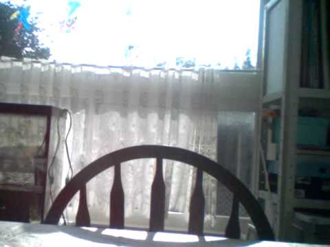 PICT0048