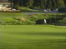 More from the 9th Green Versus Lake Washington