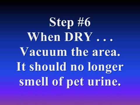 how to eliminate wood stain odor