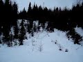 Snow Hawk en hors-pistes