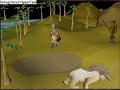 runescape hunting guide part 6 pitfall trap