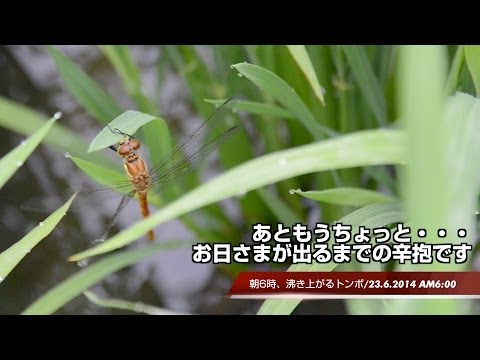 YouTube Preview Image