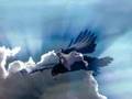 The Chicken and The Eagle Story by Dr. Eldon Taylor
