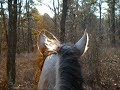 Grey n Gina Spinney hunting em.flv