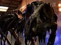 Pameran Fosil Dinosaurus di Taiwan