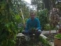 Mein Naturgarten, 13. November 2016