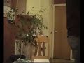 Song-about-bullet-Pe