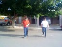 UN ARBOL