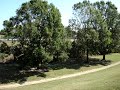 Allen Parkway - Two Weeks Later Allen Parkway - Two Weeks Later