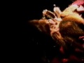 Thumbnail #3