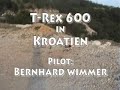 T-Rex 600 6s über Klippe