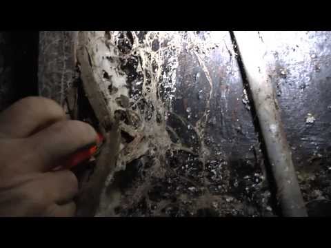 how to repair dry rot