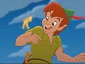 Hadas / Fairies