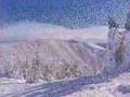 粉雪の志賀高原