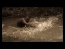 Music video: Victoire 