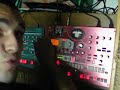 h'trebi boz live