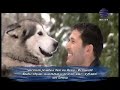 Το τραγούδι του Γιάννη Βαρδή 