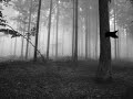 Nocturnal Depression - Host (Autumn)