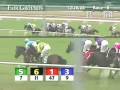 videos de FAIR GROUNDS, 2008-12-28, Race 8