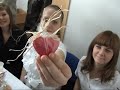 Teledysk - Bicie rekordu na najdłuższą zakładkę do książki.