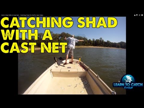 Catching Shad On The GoPro HD Camera
