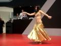 FIERA MILANO 2008