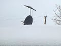 We are getting snowed under this year here in the Minneapolis metro area. We got another 8