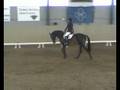 Lassio LB:2