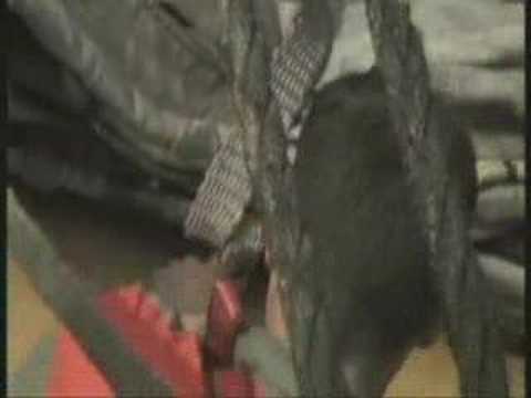 Amerigo Vespucci (Parte 3°) Nave ...