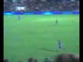 Tigre - San martin de tucuman
