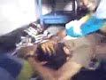 Mallu Aunty Real Scane With Boy