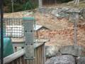 videos de woodpecker-1.AVI