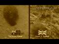 videos de Dung Beetle Racing