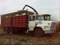 Silage cutting