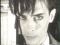 Bauhaus-shes in parties Bauhaus-shes in parties