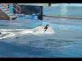 SeaWorld Orlando