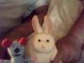 MOOSEYS WHITE RABBIT NAUGHTY BLUE MATE
