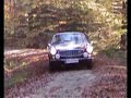 Volvo P1800 S in autumn