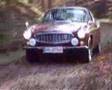 Volvo P1800 S in autumn