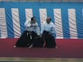 hinoshita torite kaizan takenouchi ryu jujutsu